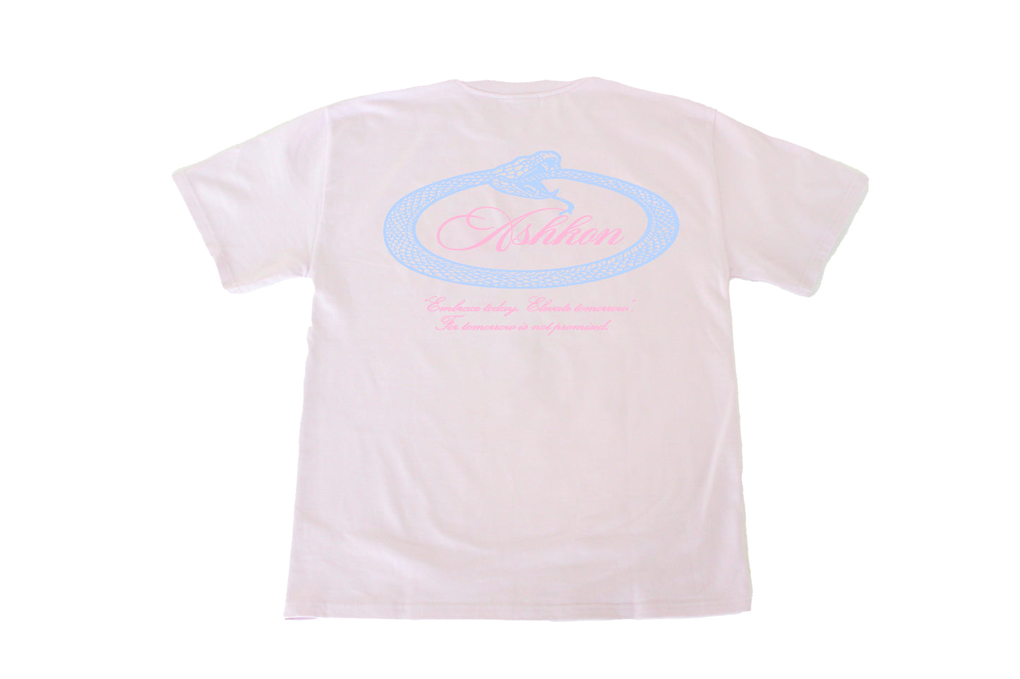 Ashkon Snake Heavy Tee