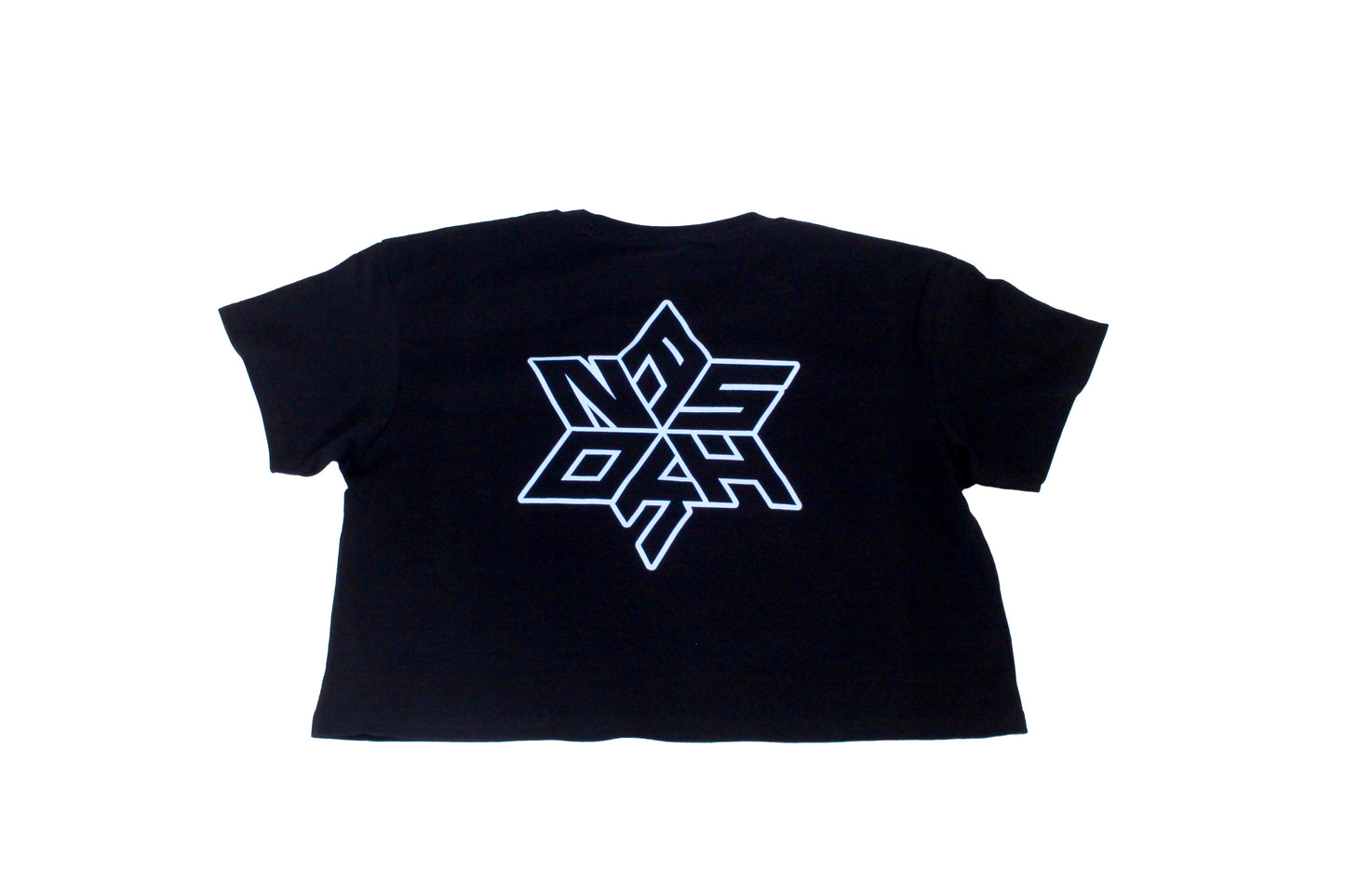 Ashkon Star Crop Tee