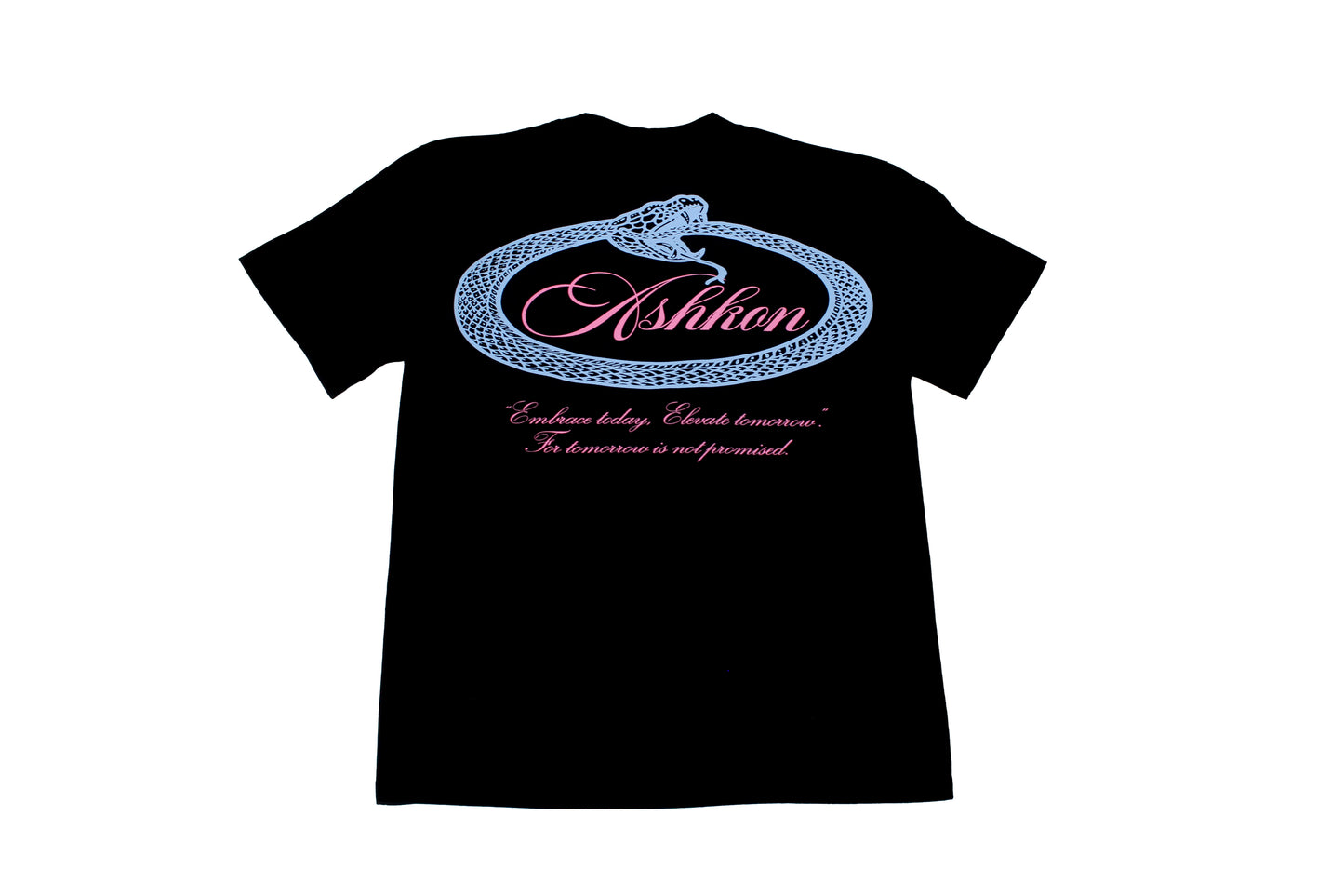 Ashkon Snake Heavy Tee