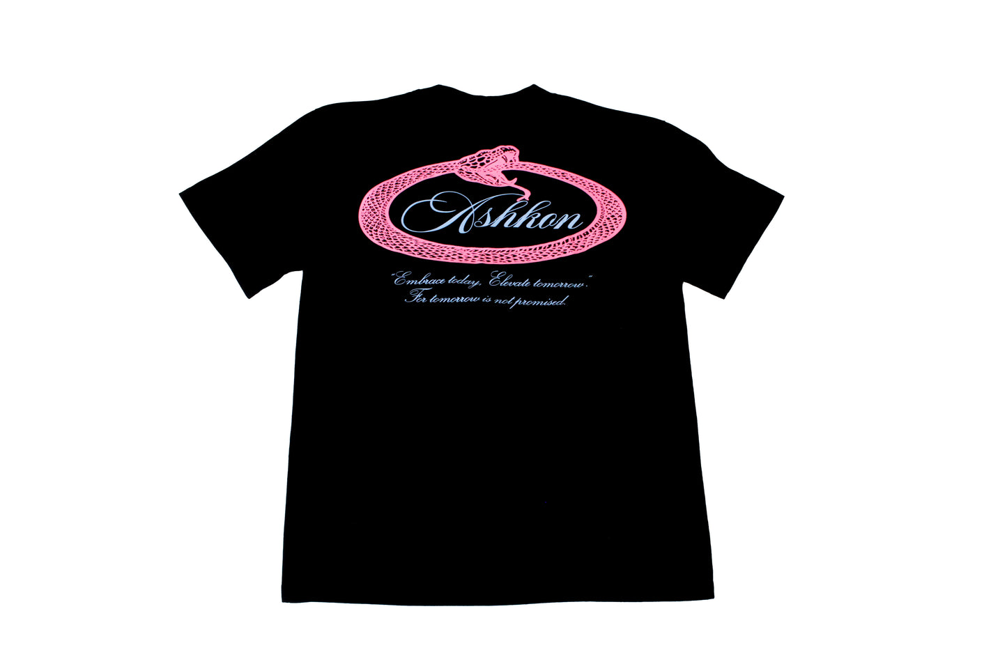 Ashkon Snake Heavy Tee