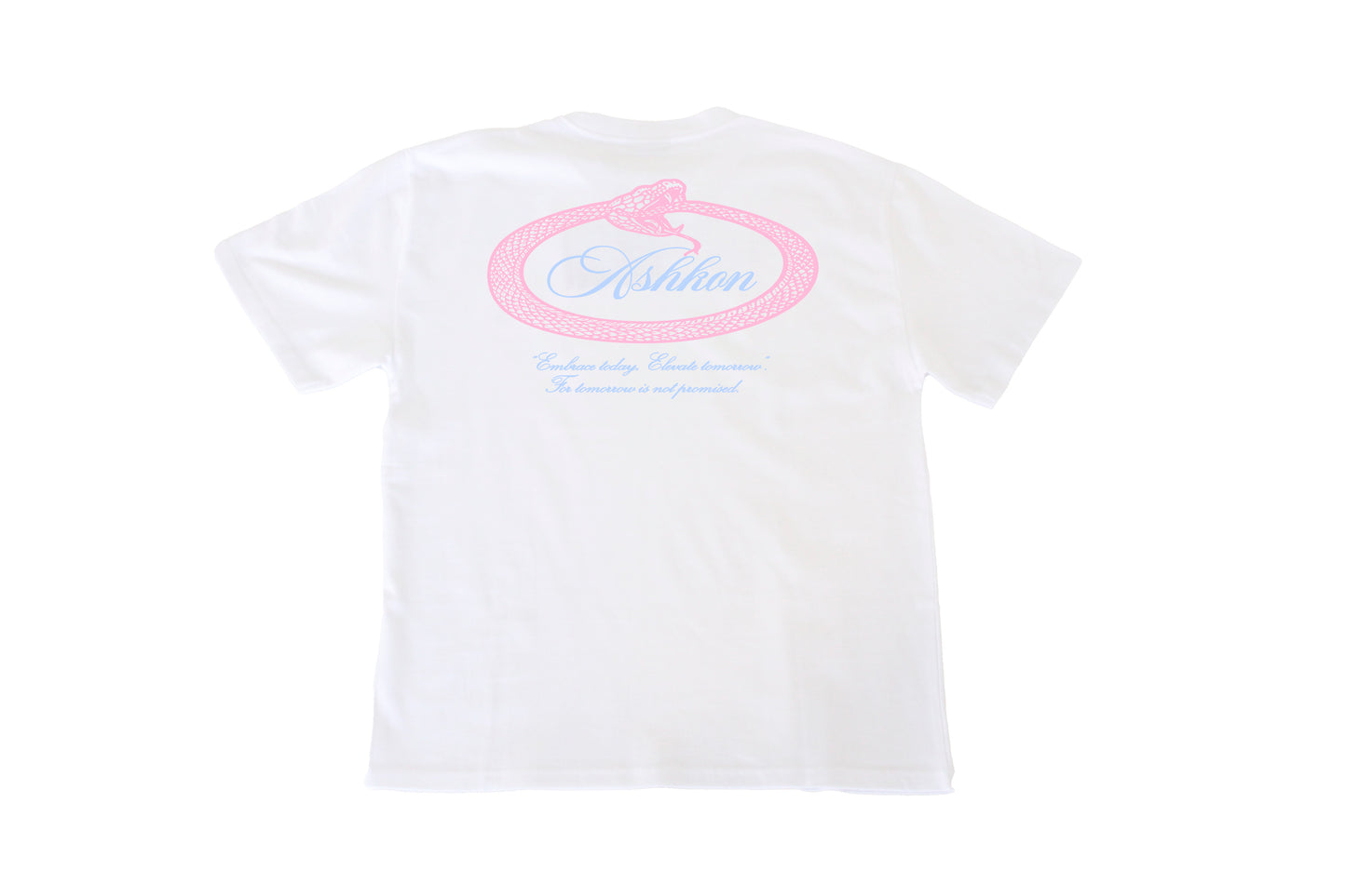 Ashkon Snake Heavy Tee