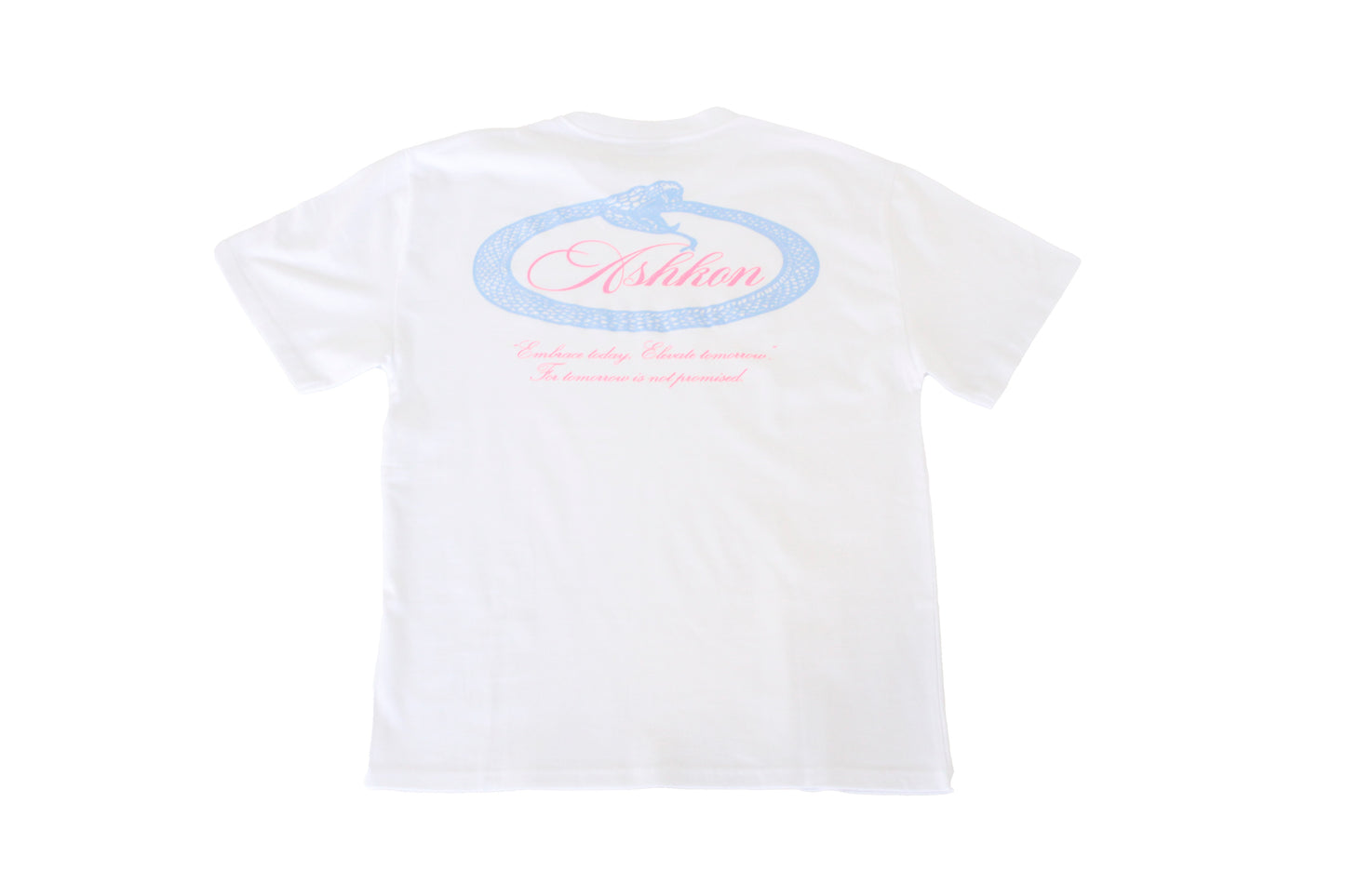 Ashkon Snake Heavy Tee