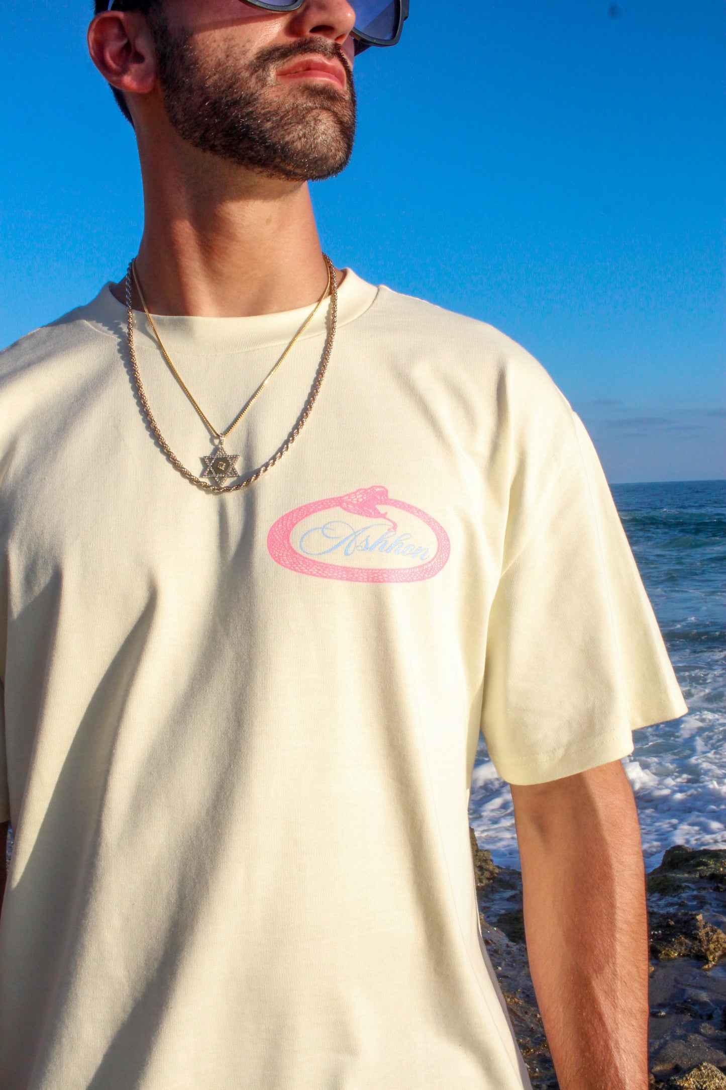 Ashkon Snake Heavy Tee