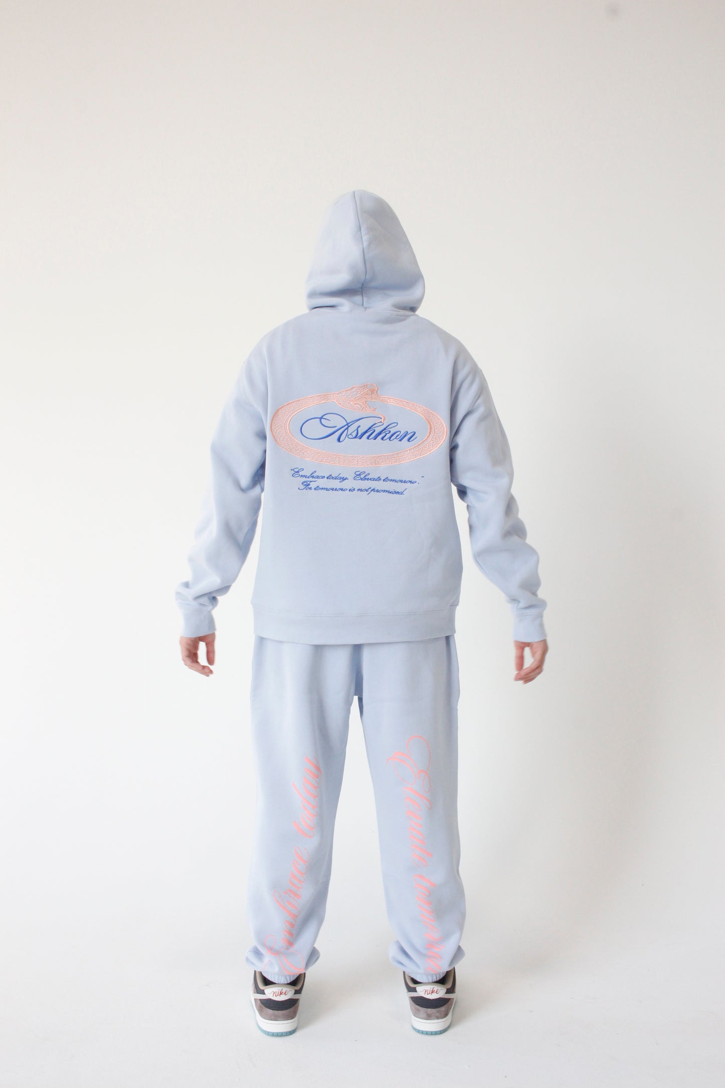 Ashkon Snake Hoodie