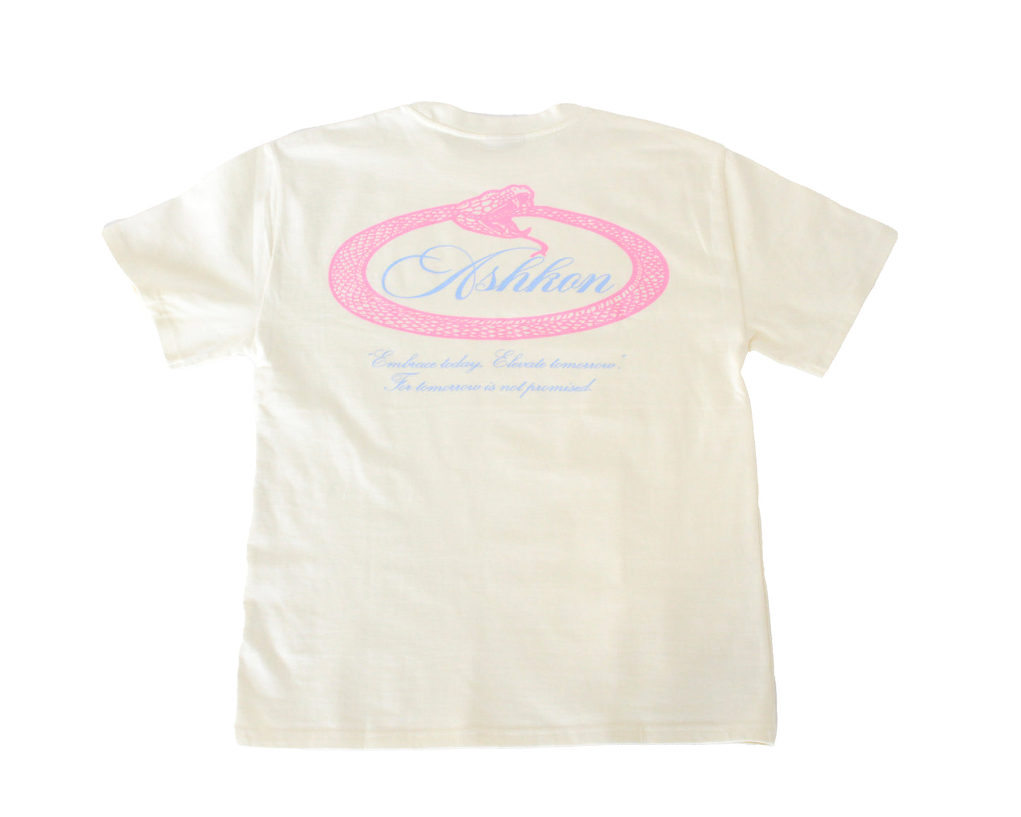 Ashkon Snake Heavy Tee
